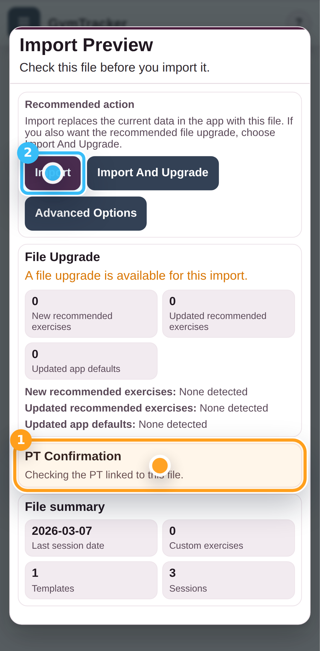 Review the PT confirmation in the import preview