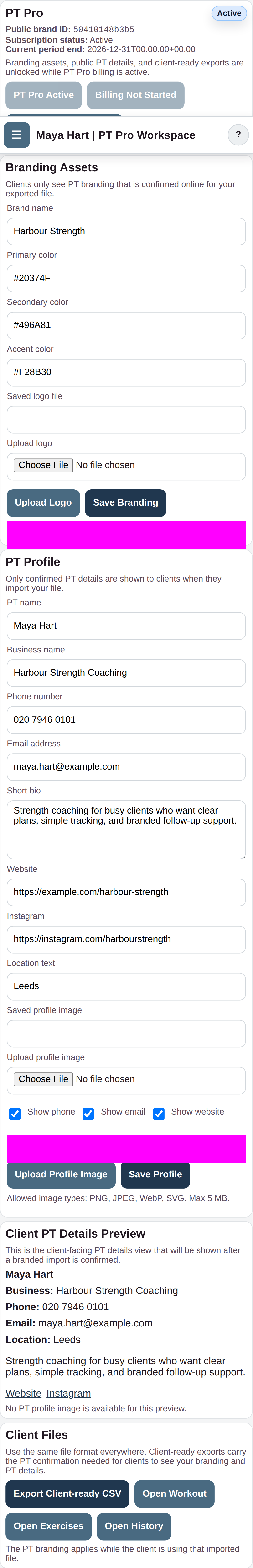 Review the PT Pro workspace before exporting