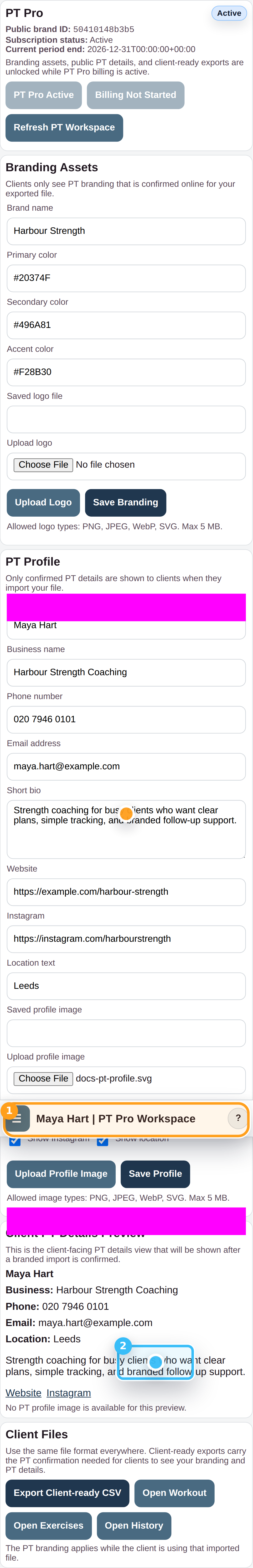 Save the public PT details